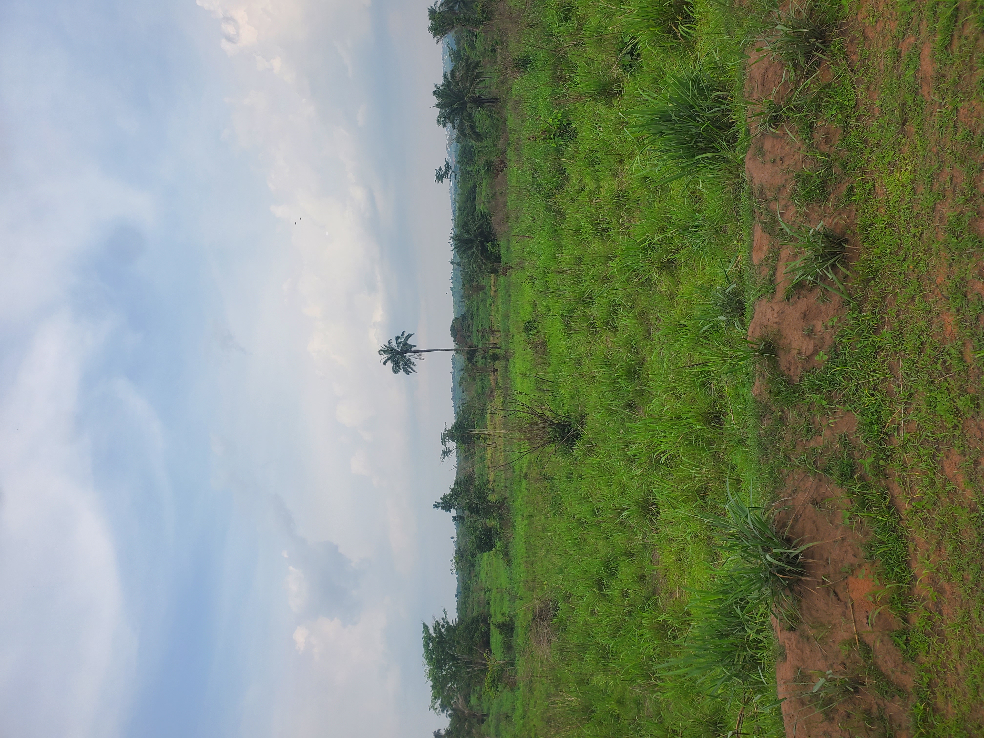 Regular Residential Plot